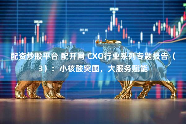 配资炒股平台 配开网 CXO行业系列专题报告（3）：小核酸突围，大服务赋能