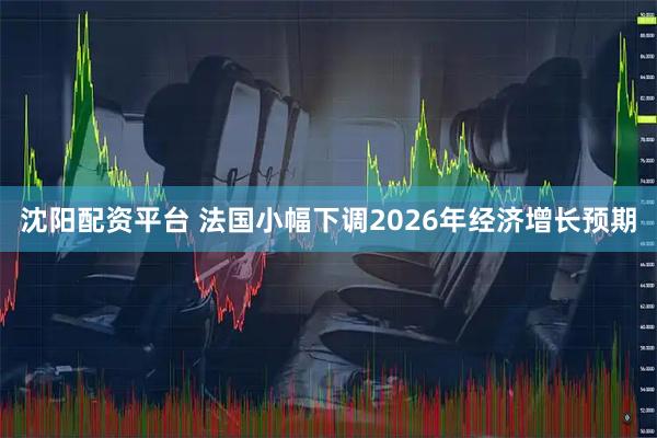 沈阳配资平台 法国小幅下调2026年经济增长预期